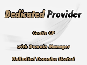 Budget dedicated servers hosting service